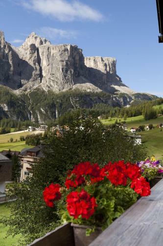 Hotel Pensione Erica
