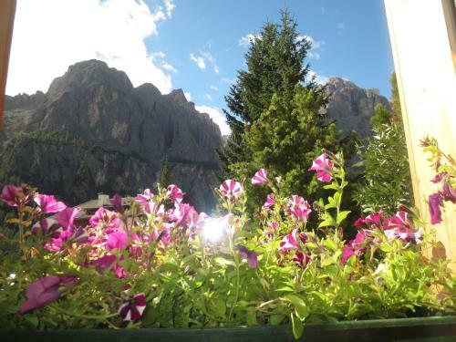 Hotel Borest