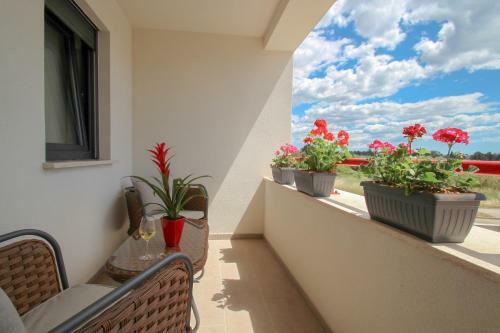 Casa Rose