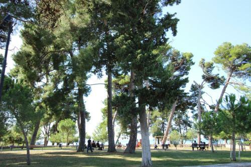 Apartamento Dea, 180 M From The Beach