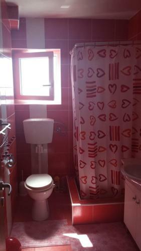 Apartamentos Eva