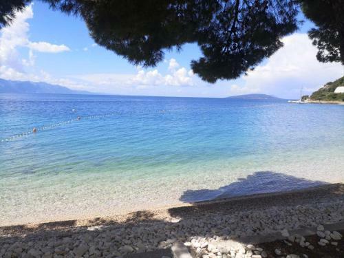 Apartment Dada 2