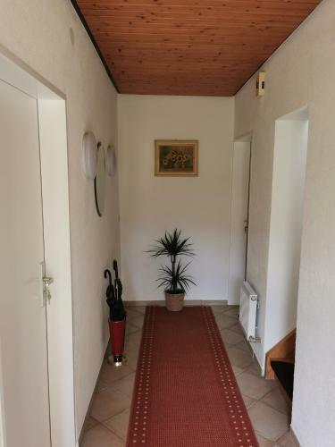 Apartamento La Casa Suciu