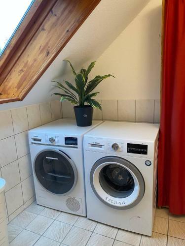 Apartamento Lovely Central Located- Train, Restaurants & Spa