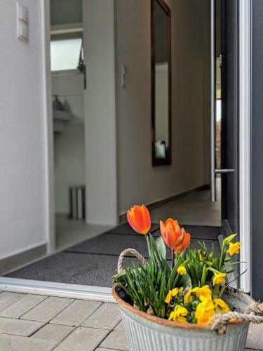 Apartamento Ferienwohnungen Arp - Haus Anton