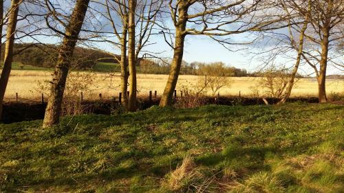 Bed & Breakfast Altes Pfarrhaus