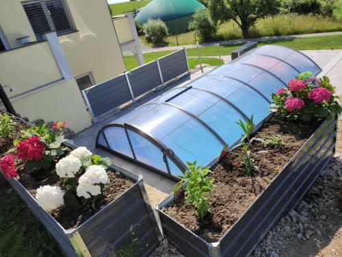 Apartamento Fewo Obstb�umle Mit Pool Matzenweilerhof