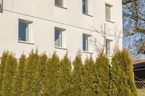 Apartamento Ferienwohnung Pusteblume