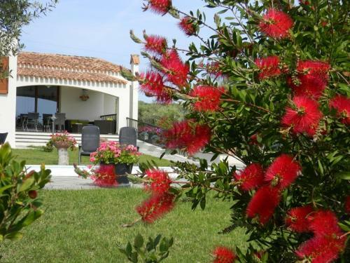 Bed & Breakfast Rosso Di Sera
