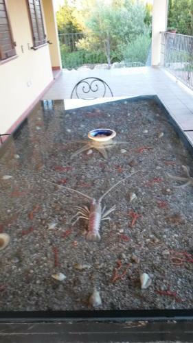 Apartamento Villa Sorrentina