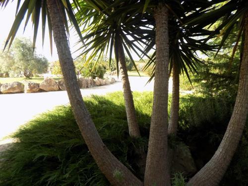 Apartamento Villa Sorrentina