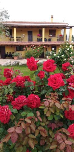 Apartamento Villa Sorrentina