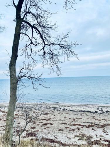 Landlebenliebe