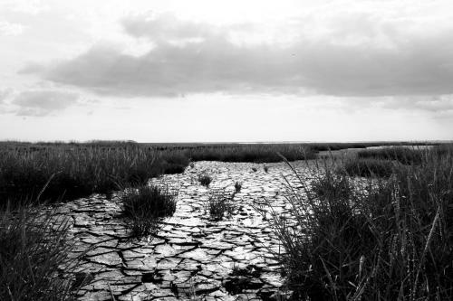 Schleusenw�rter Luv Und Lee