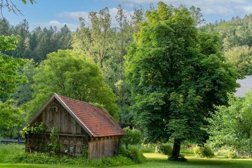 Apartamento Ferienwohnungen Mittermurnthal