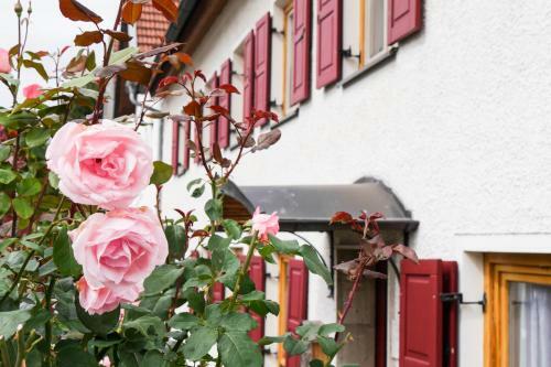 Apartamento Ferienwohnung Lispet