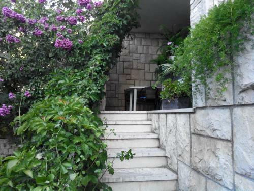 Apartamentos Daniela