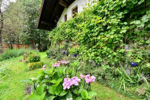 Apartamento Hofatelier Menacher