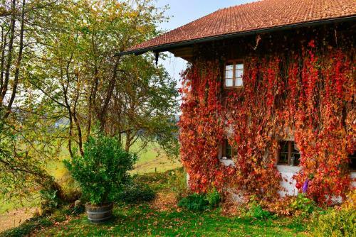 Apartamento Hofatelier Menacher