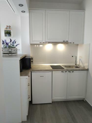 Apartments Toma?