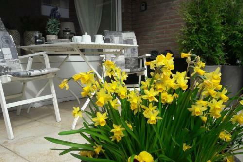 Apartamento 1 Zimmer Appartement Cap Arcona