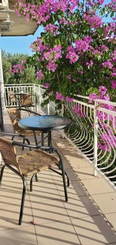Apartamentos Dreams