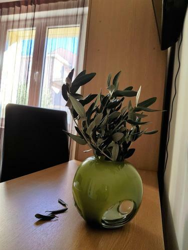Apartmani Maja