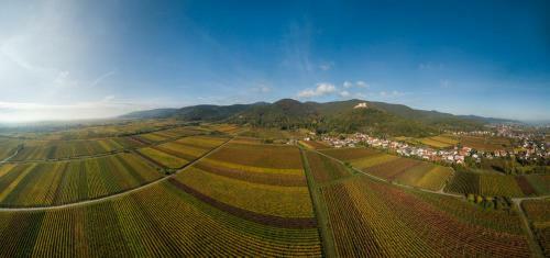Ferienhaus Weinh�usel