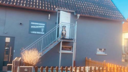 Apartamento Pfalzkinder