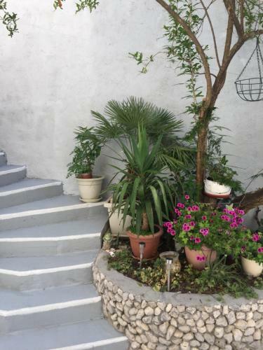 Apartamentos Marica