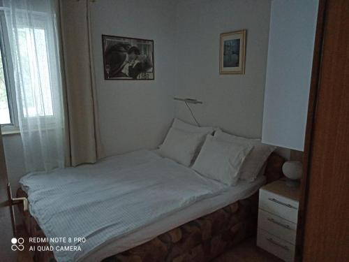 Apartman Robertino 1966