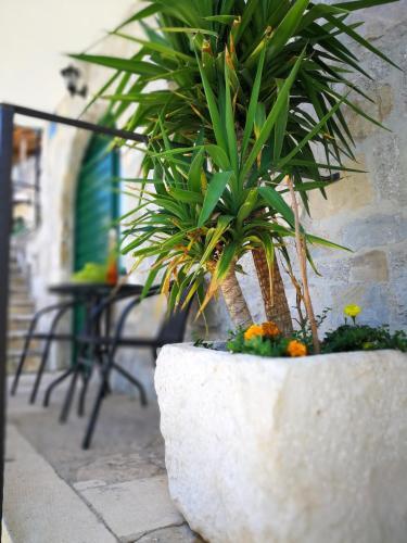 Apartamentos Holiday House -apartment -ane -