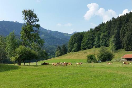 Apartamento Gschwendtnerhof App13 Lincke