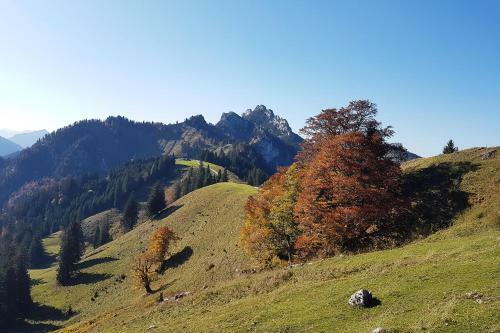 Apartamento Gschwendtnerhof