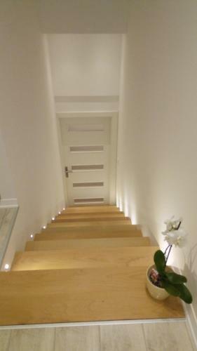 Apartment Davorka