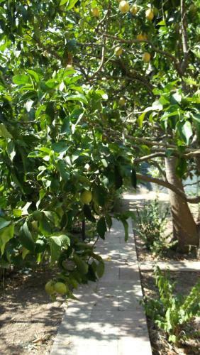 Bed & Breakfast Solimarina