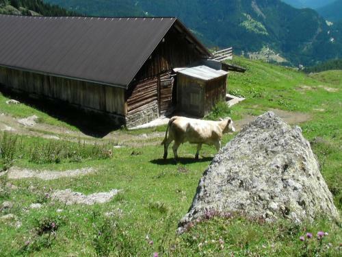 Agroturismo Appartamenti Suttru