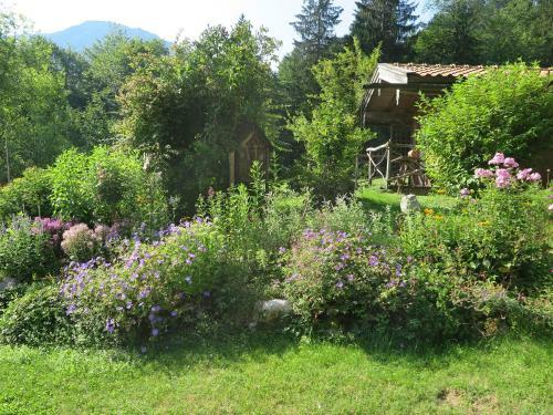 Apartamentos Ferienwohnungen Haus Waldwinkel