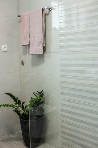 Apartmani I Studio Big Hill