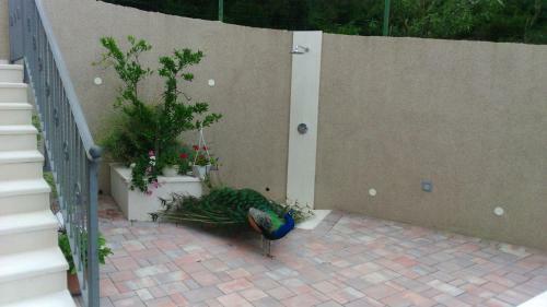 Apartamento Anka Strman