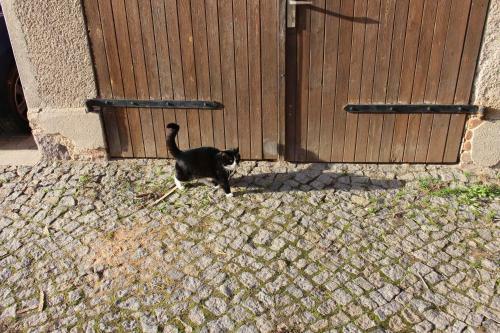 Apartamento Ferienwohnung Beim R��l