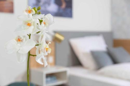 Apartamento Nino-boardinghouse 12
