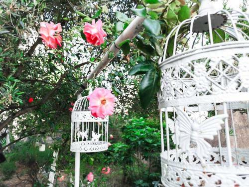 Boho By The Sea House