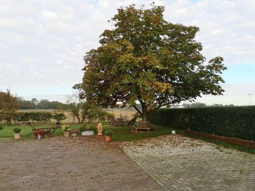 Apartamento Gartenwohnung