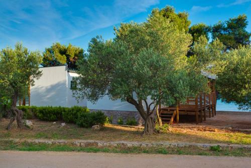 Hotel Mobile Home Pirovac 32