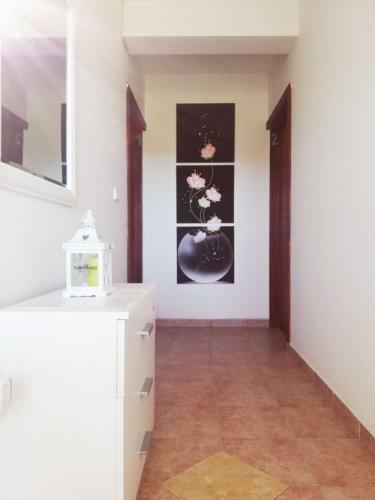 Apartmani Danica