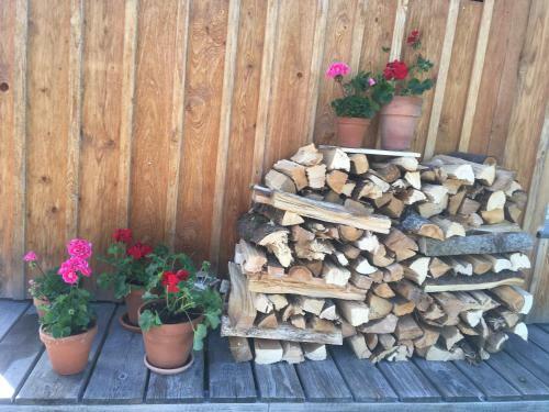 Apartamento Ferienwohnung Hosper Karl