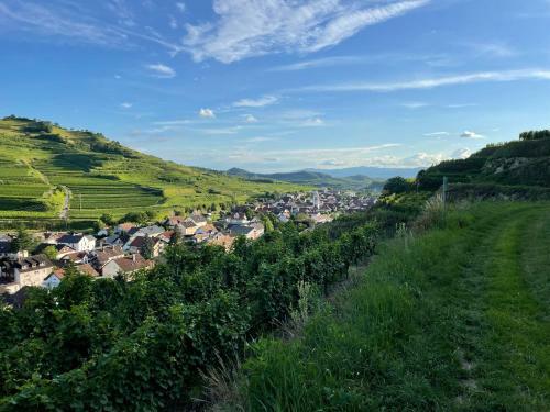 Apartamento Weingut & Strau�wirtschaft Vogel
