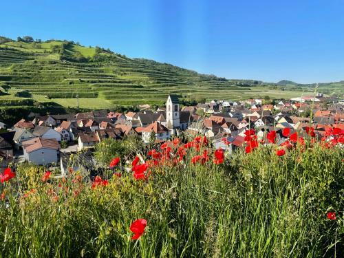 Apartamento Weingut & Strau�wirtschaft Vogel