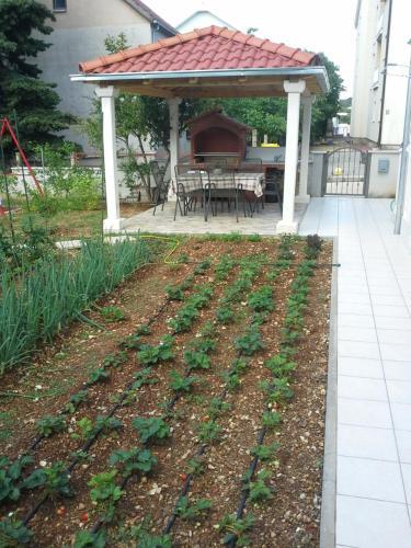 Apartamentos Sanja M 1
